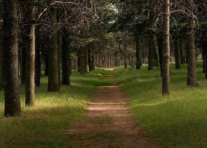 Casa de Férias Valtravieso Las Navas del Marqués